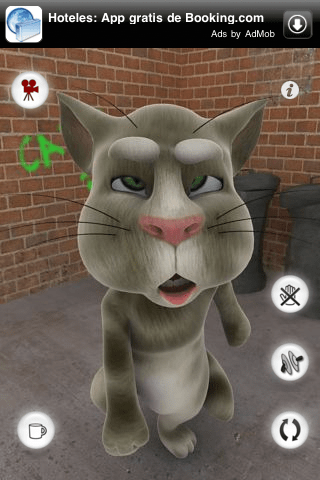 Tom Talking Cat