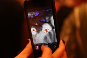 capa FLIR one 7
