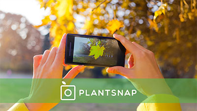 amantes da natureza plantsnap