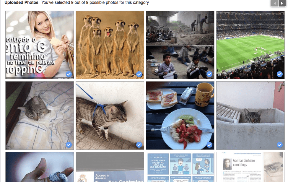 Lookback imagens 3