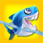 Shark Dash