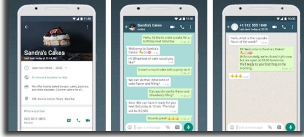 como usar o whatsapp business