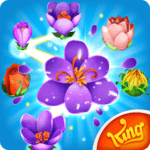 Blossom Blast Sagaa