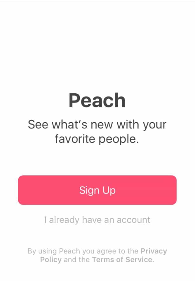 Conhe a e saiba como usar a rede social Peach - 54