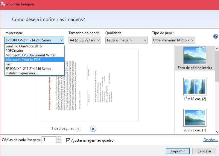 pdfs com imagem