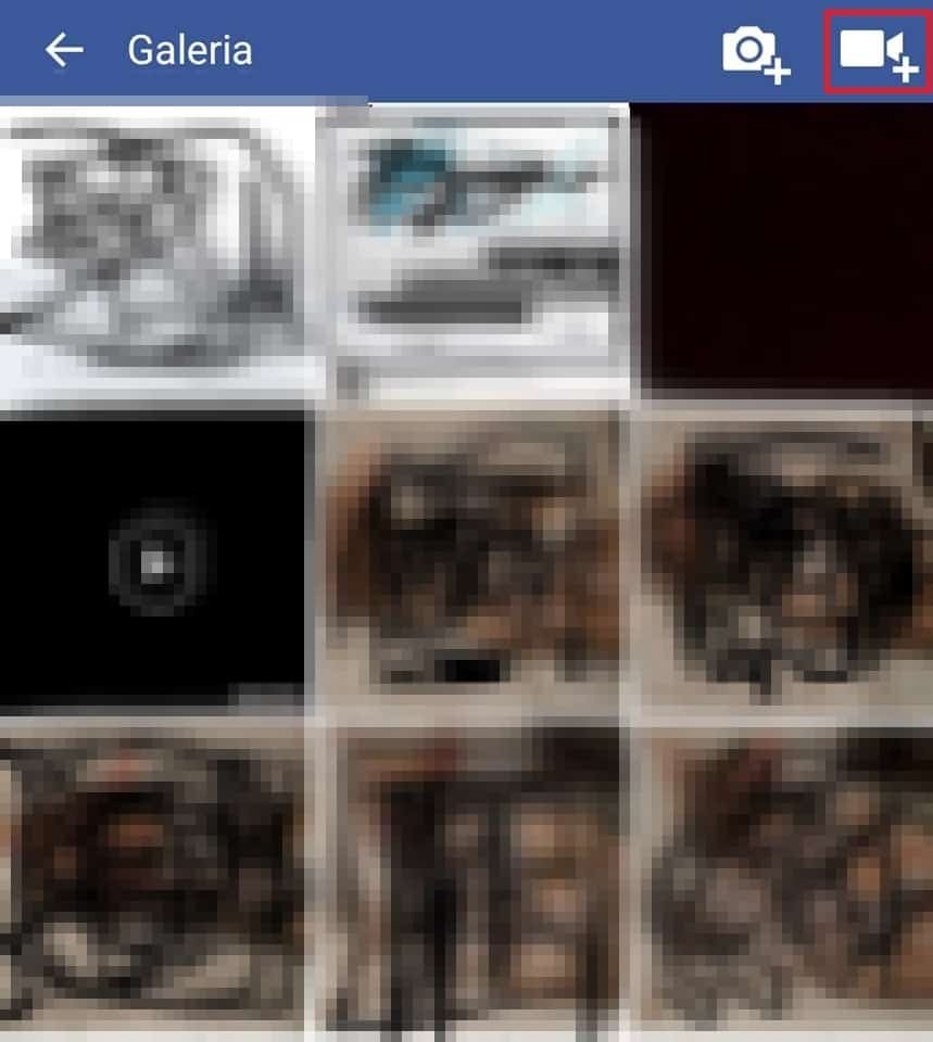 galeria facebook