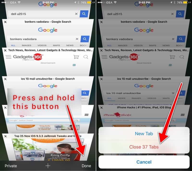 safari