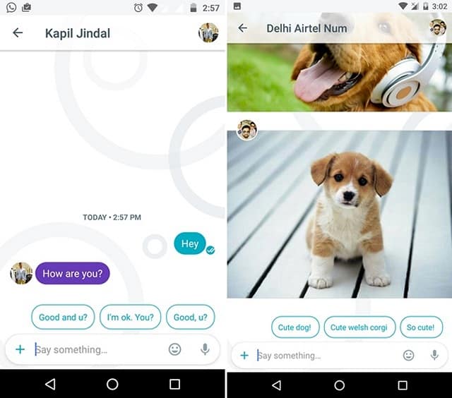 allo-google
