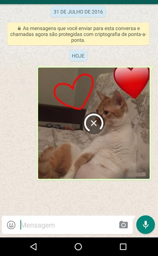 adicionar emojis nas fotos do whatsapp fim