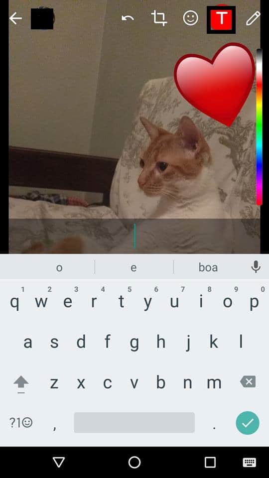 adicionar emojis nas fotos do whatsapp fim texto
