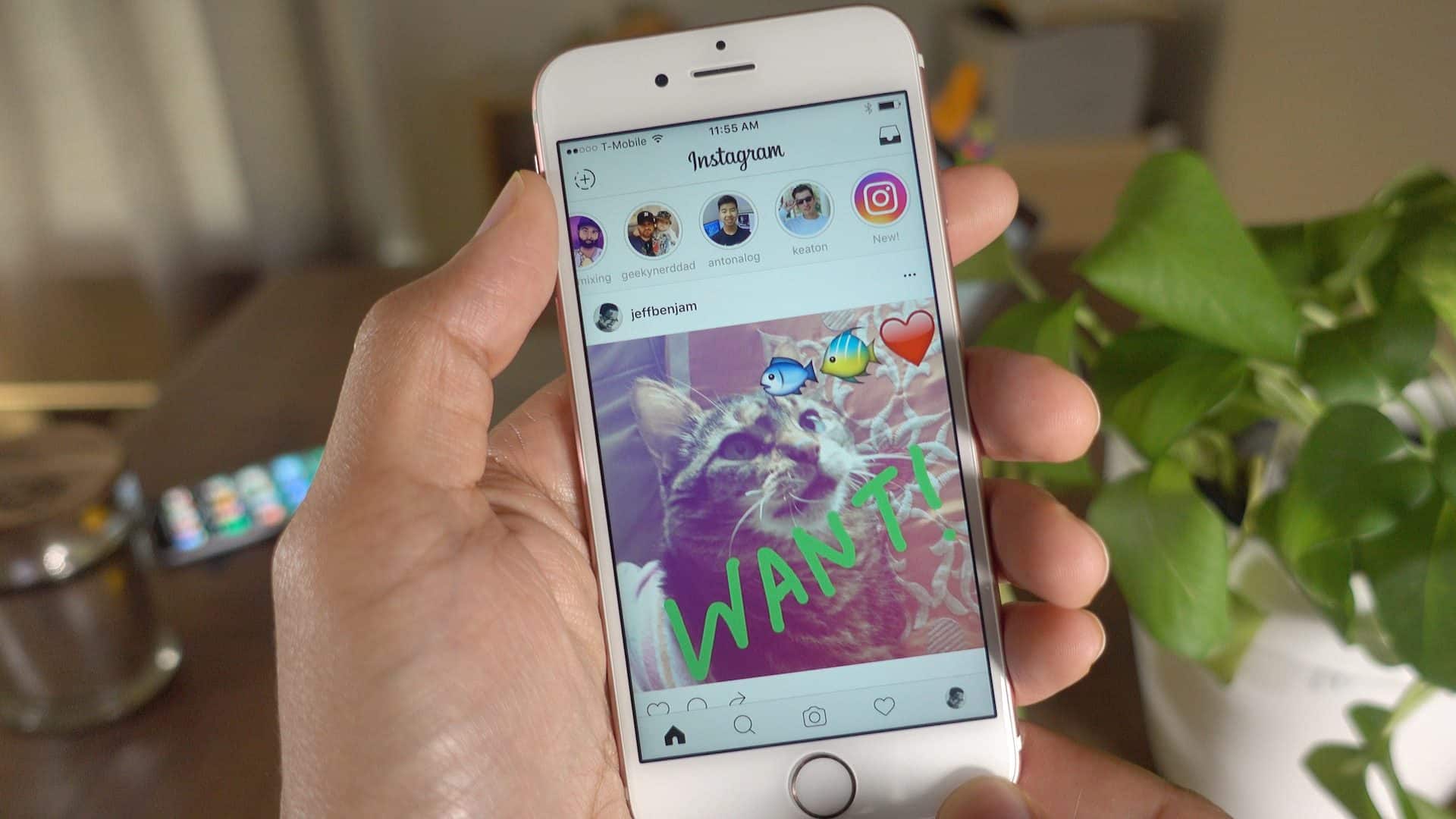 Snapchat ou Instagram Stories  qual deles   o melhor  - 81