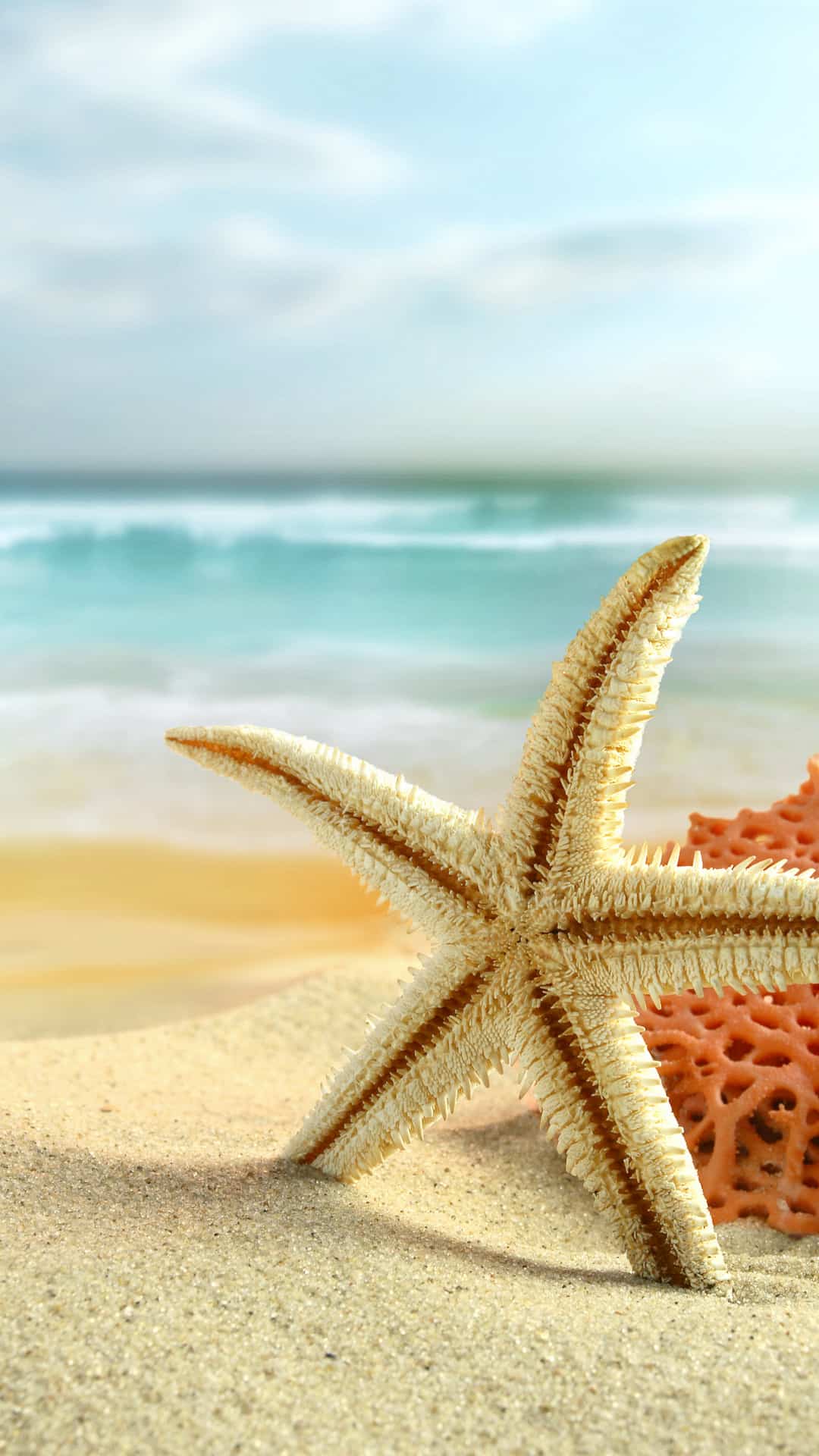 sea-star-summer-beach-android-wallpaper