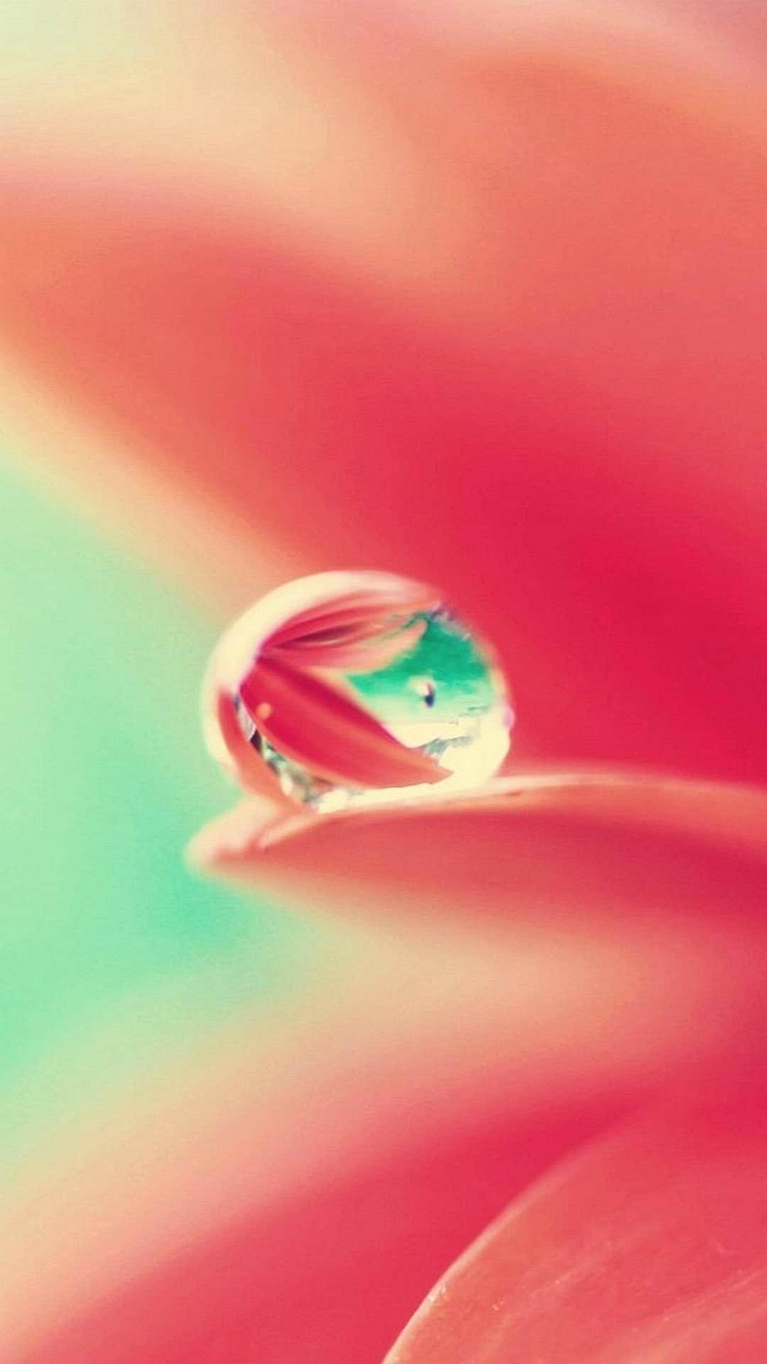 papel-de-parede-gota-de-agua