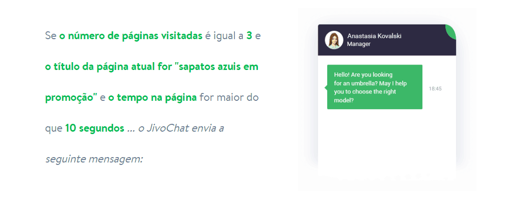 loop-webinar-e-jivochat-proativo