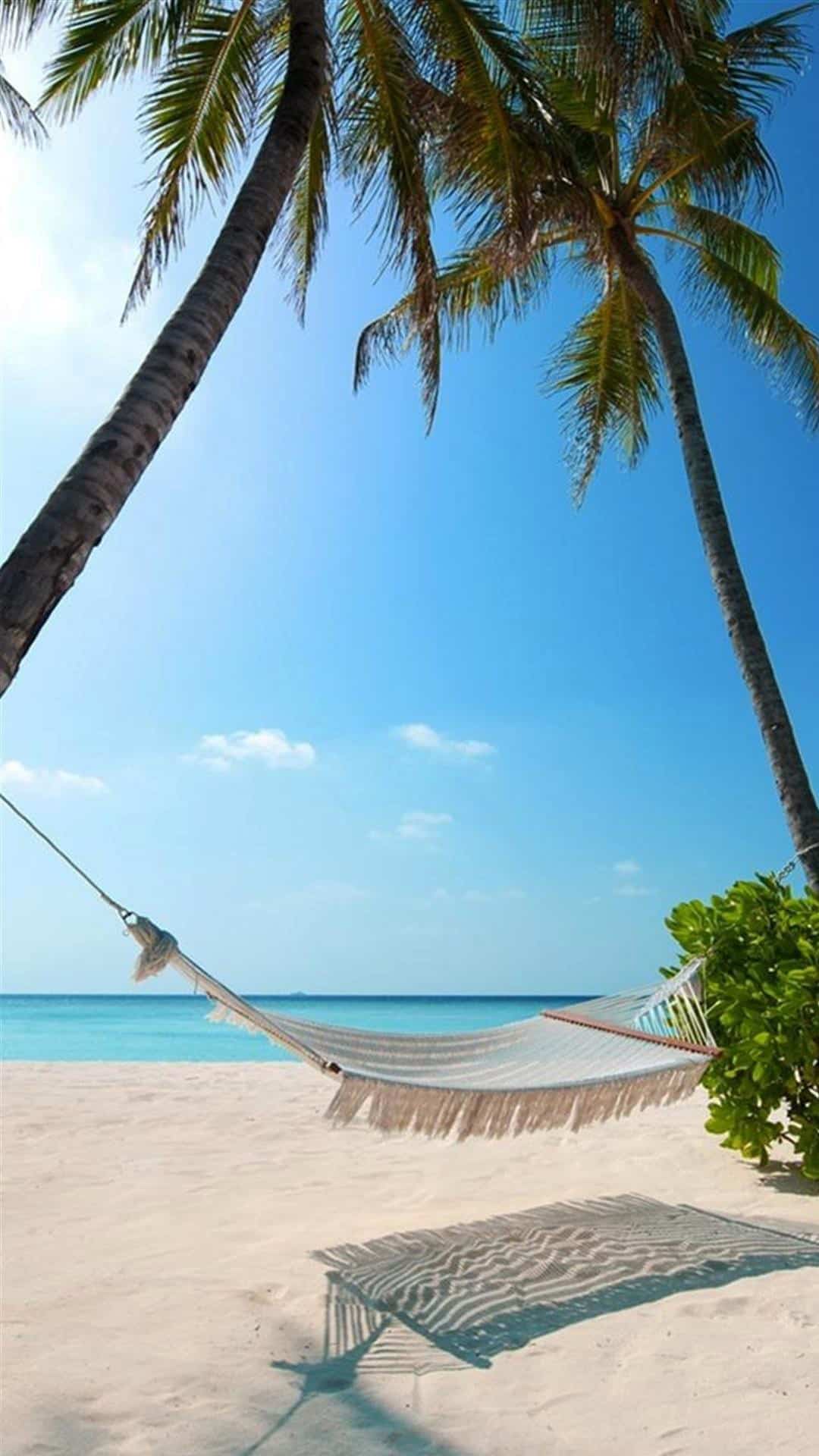 Exotic Beach Palm Trees Hammock Android Wallpaper