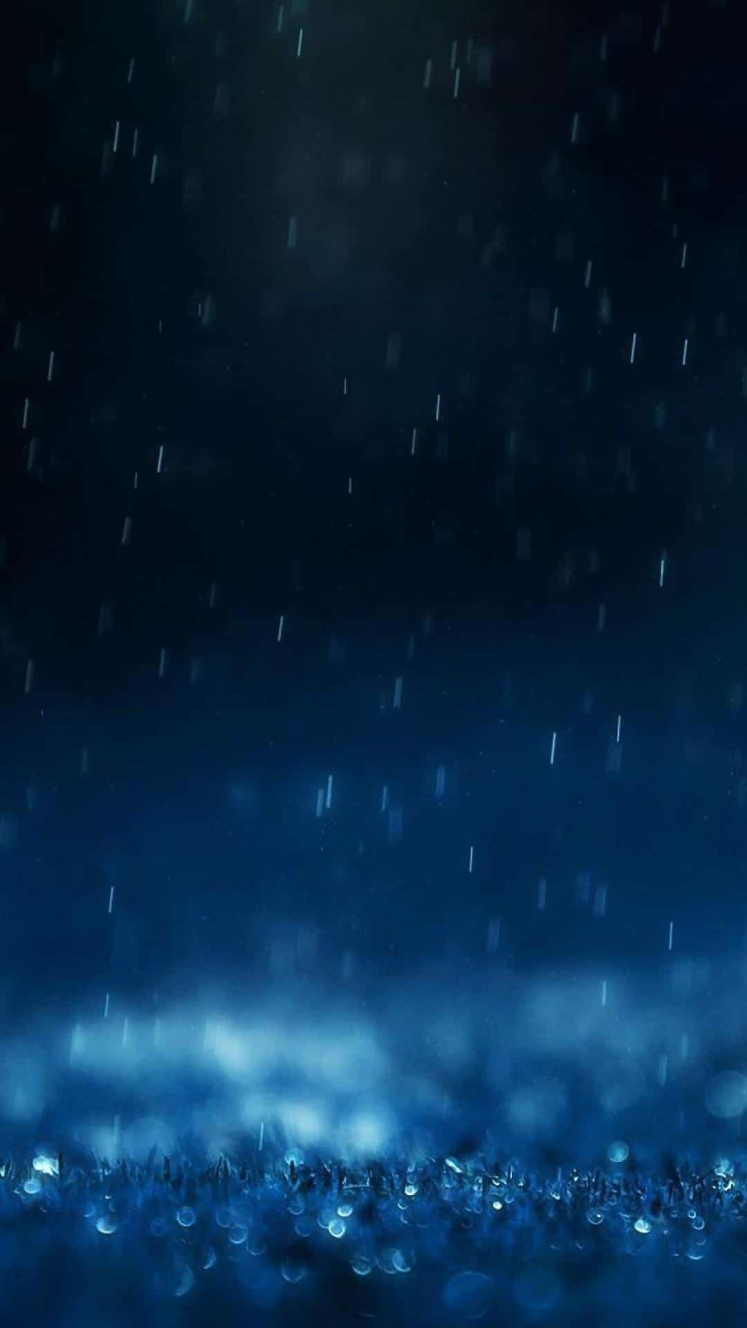 Rain Drops Macro Blue Android Wallpaper