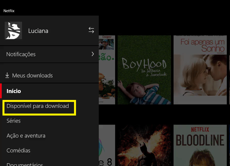 netflix download