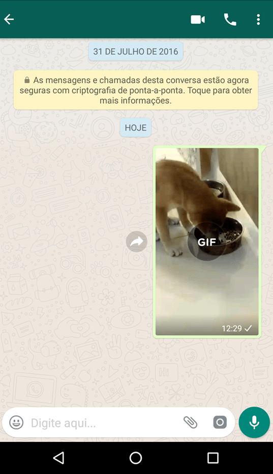 Como converter v deos em GIFs no WhatsApp   AppTuts - 25
