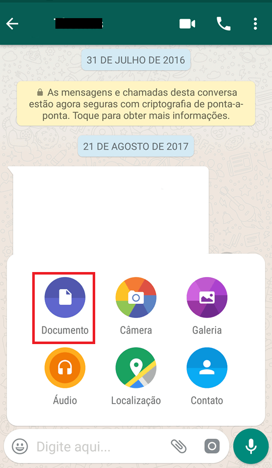 documento whatsapp