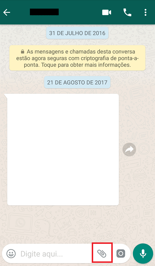 whatsapp opções