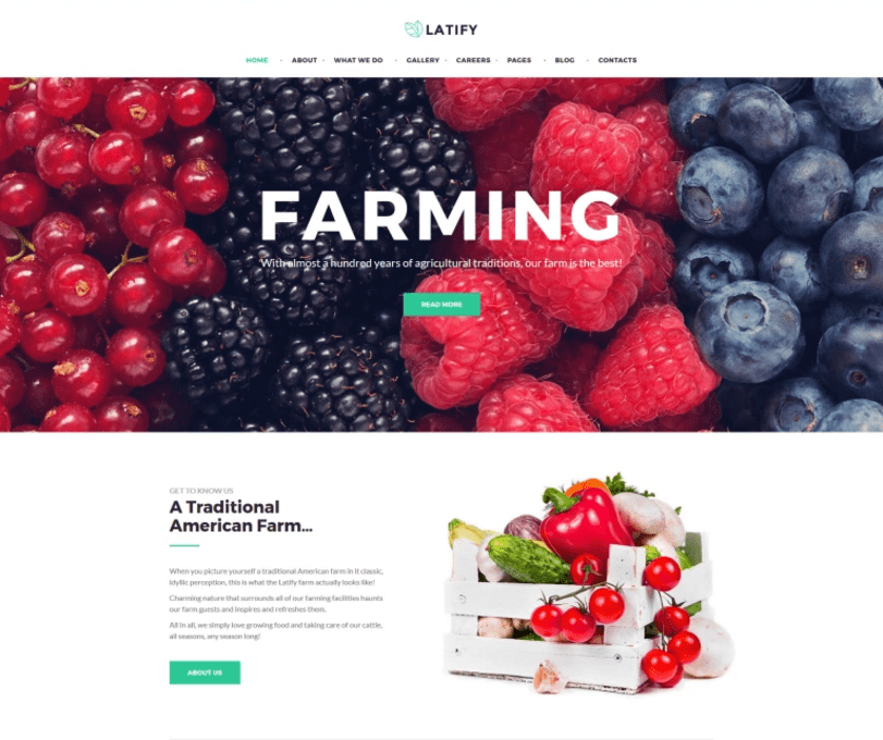 temas-wordpress-latify