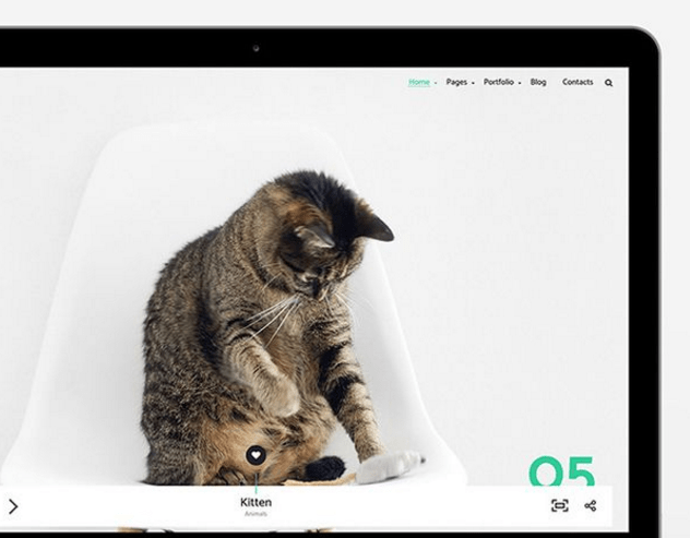 temas-wordpress-spacer