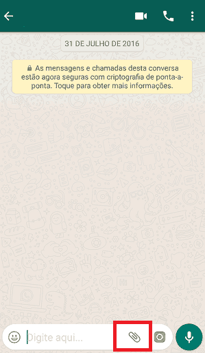 contato whatapp