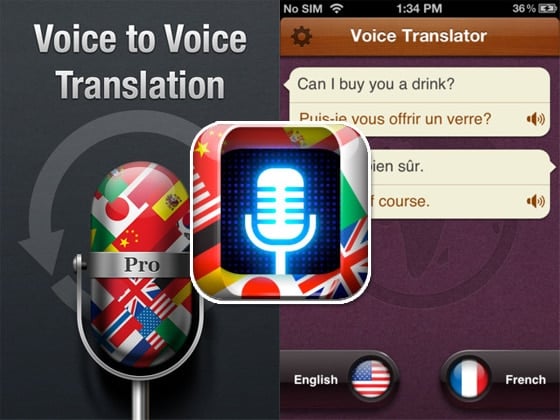 Voice Translate Pro