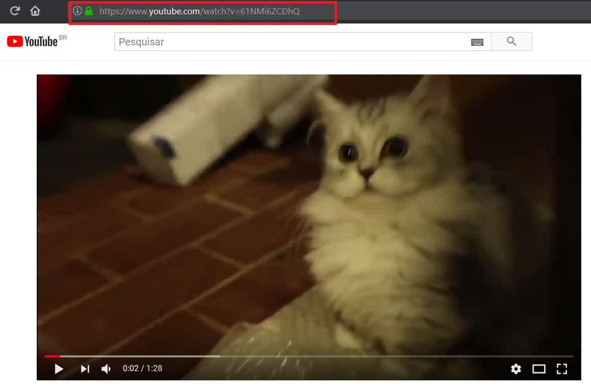 youtube
