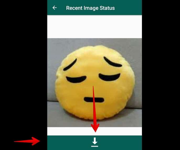 baixar vídeos do whatsapp baixarfoto