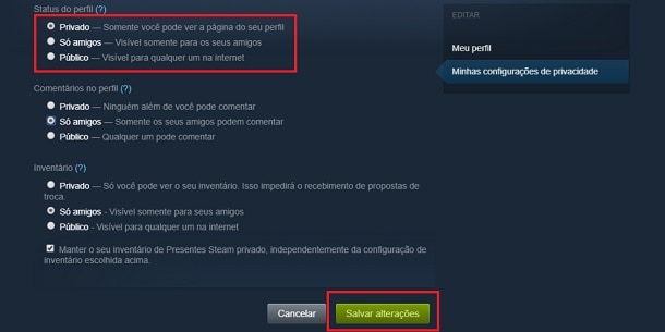 Como mudar seu perfil do Steam para uma conta privada   Apptuts - 73