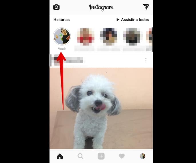 gif nas stories do instagram inicio