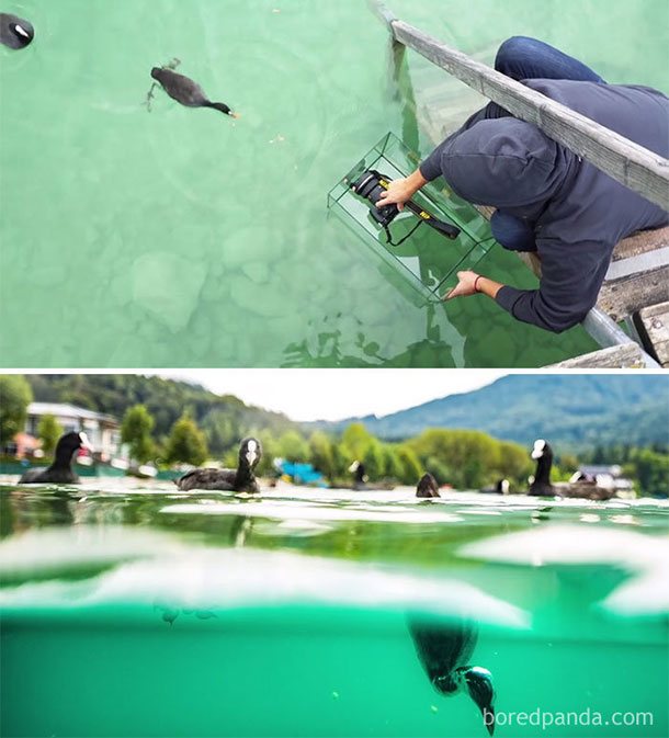 tirar-fotos-profissionais-aquario