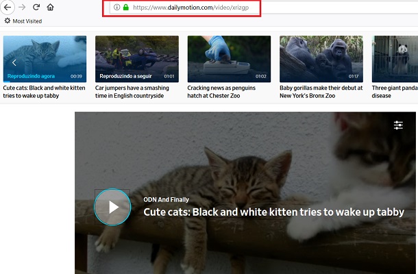 url-do-dailymotion