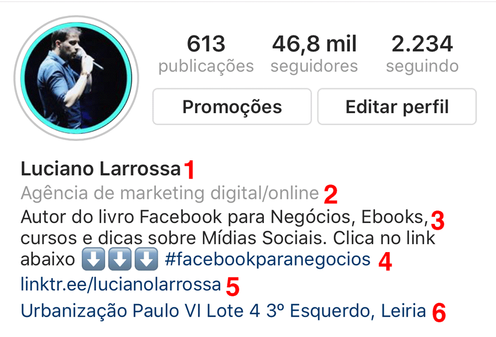 anatomia da biografia no Instagram