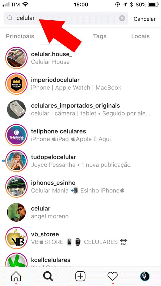 buscas no nome da biografia