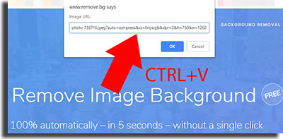 remover o fundo das suas imagens colar a URL