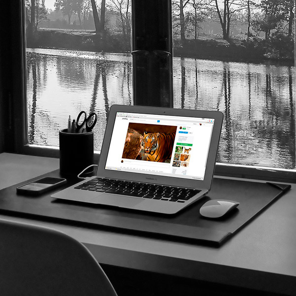 mulher-trabalhando-trabalho-financas-pessoais-celular-computador - MGP  Saúde - Medicina e Segurança do Trabalho