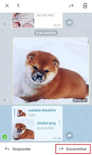 telegrama encaminhar