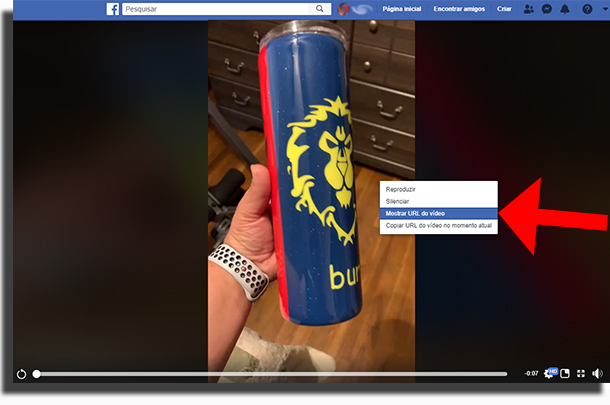 Mostrar URL do Video no Facebook