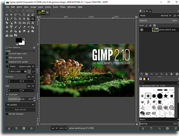 gimp 