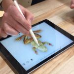 evitar o apple pencil razões capa