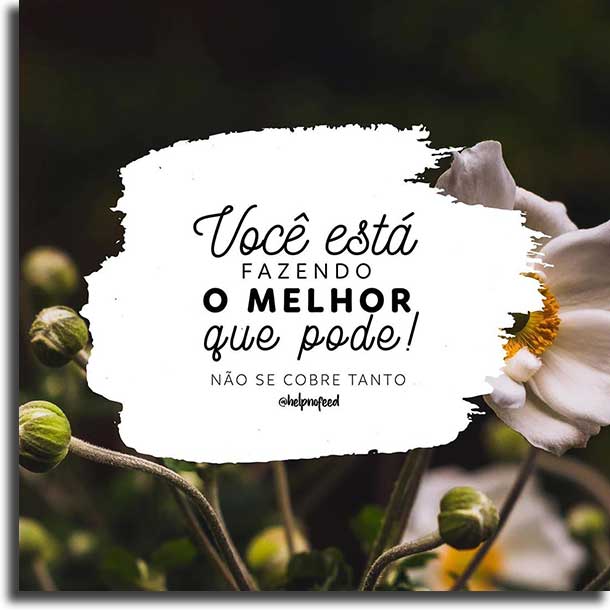 31 status de WhatsApp com frases inspiradoras - 5