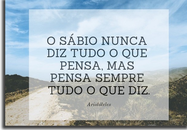 frases criativas para status de WhatsApp sábio