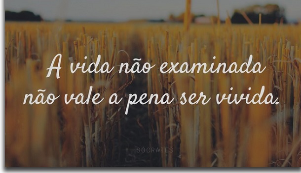 vida examinada