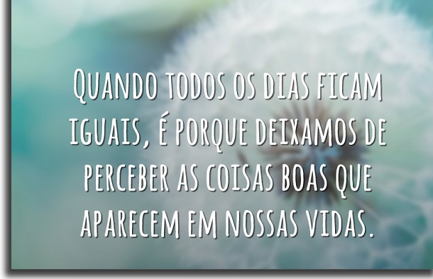 dias iguais