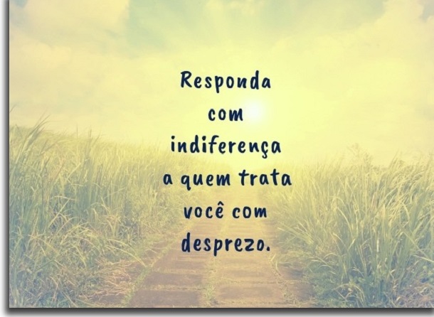frases de whatsapp indiferença