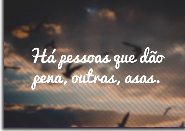 frases para status do whatsapp asas