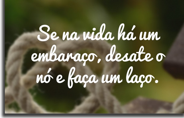 frases para status laço