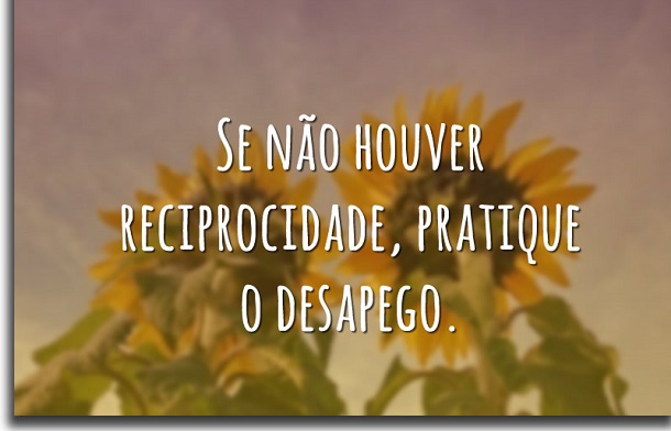frases para status reciprocidade